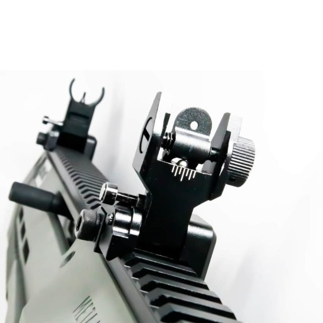 Front and Rear Aluminum Backup Sights